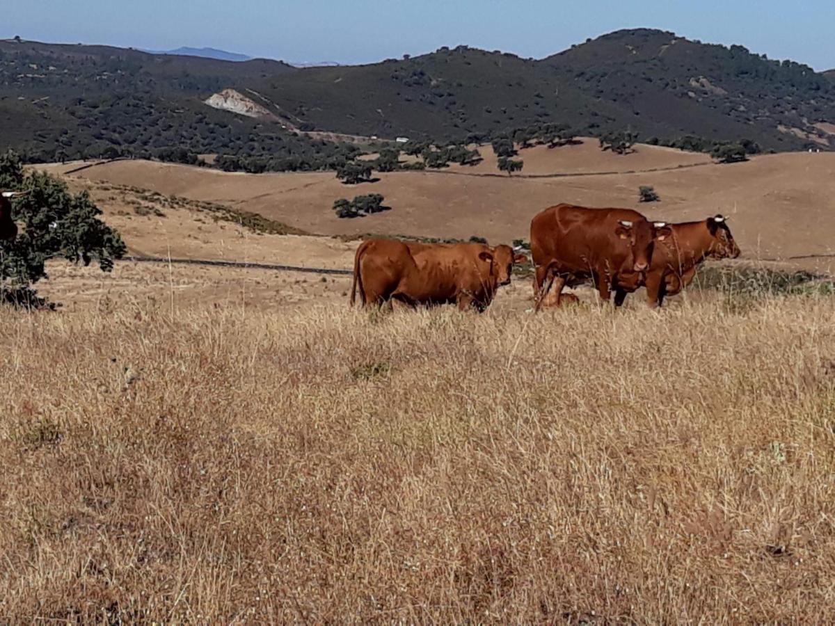 Villa Casa Cabezo del Gato Aracena Esterno foto